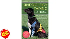 Bisley Kinesiology Taping for Dogs