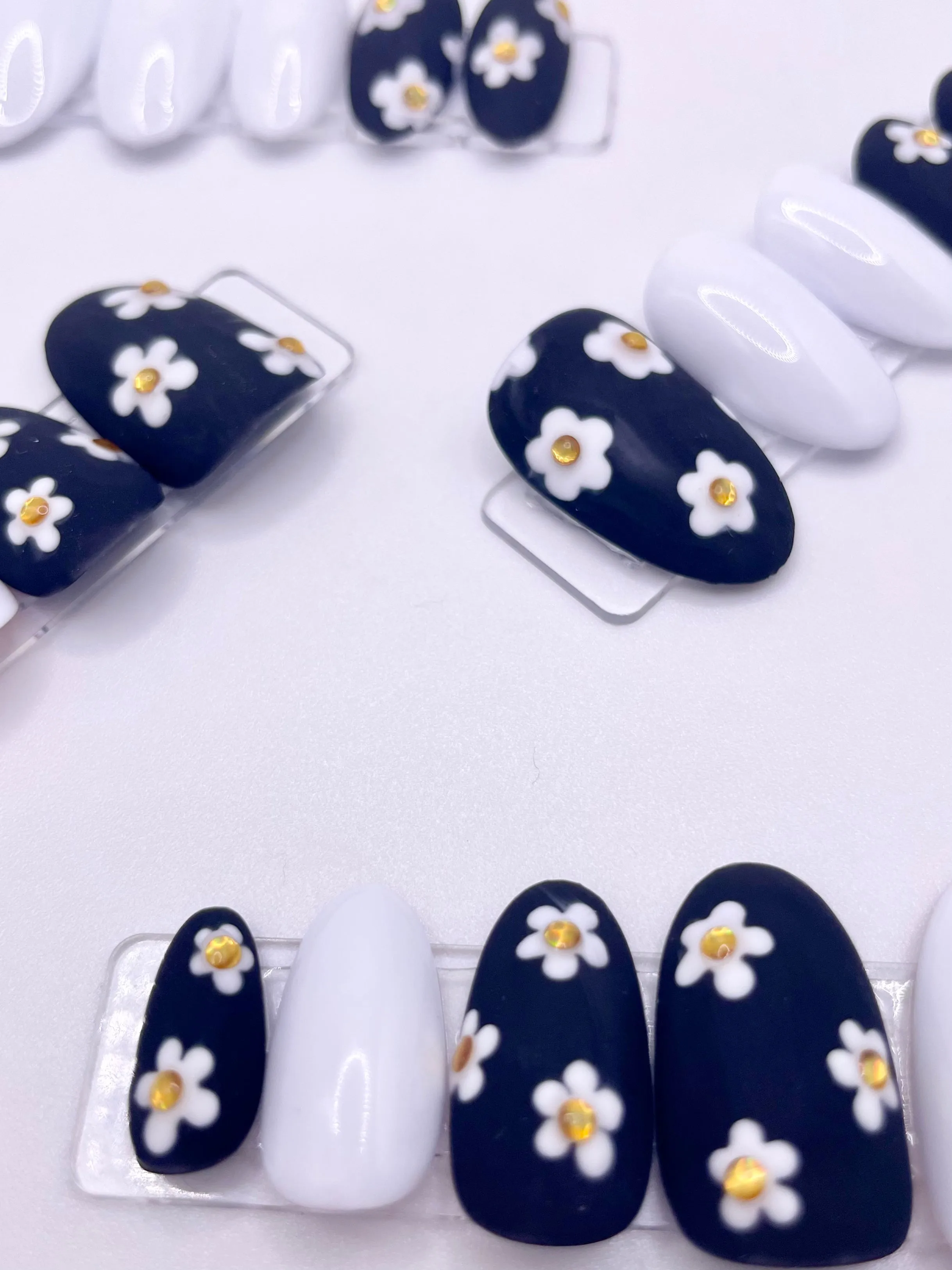 Black and White Daisies