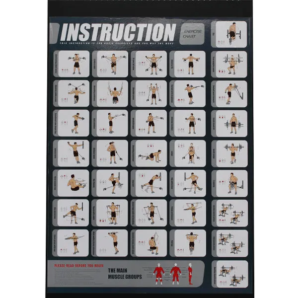 TITANIUM USA G50 FUNCTIONAL SMITH MACHINE EXERCISE CHART